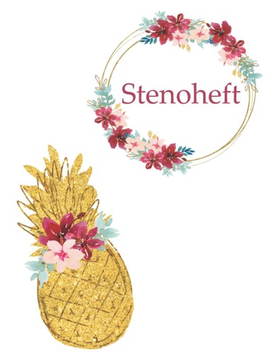 Stenoheft übungsheft zum - stenoheft:,