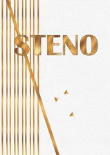 Stenoheft A4 Lineatur 12 ✐