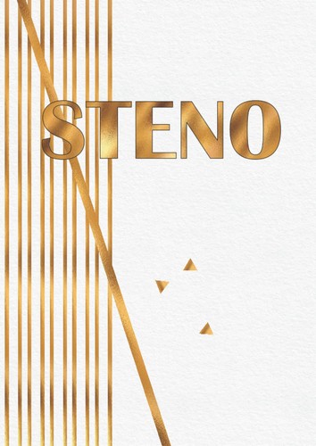 Stenoheft lineatur - stenoheft, 12
